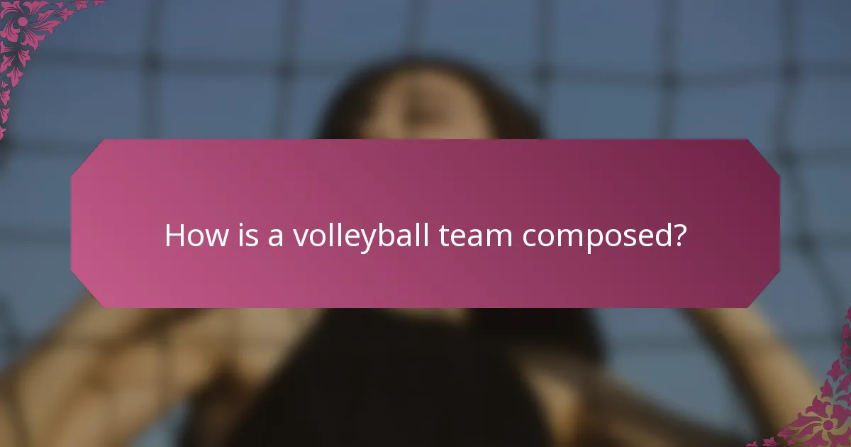 How is a volleyball team composed?